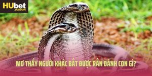 Khai Thác Giấc Mơ Thấy Người Khác Bắt Được Rắn Đánh Con Gì? 
