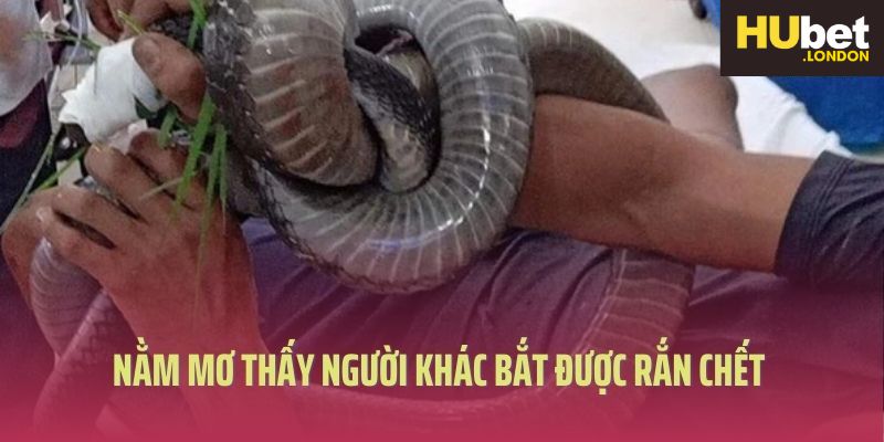 Nằm mơ thấy người khác bắt được rắn chết