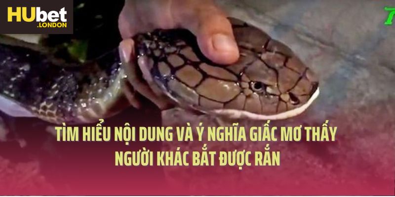 Tìm hiểu nội dung và ý nghĩa giấc mơ thấy người khác bắt được rắn