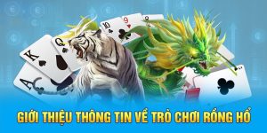 bắt cầu rồng hổ hubet